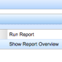 reportoverviewselect.png