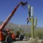 fake_cactus_cell_towers.jpg